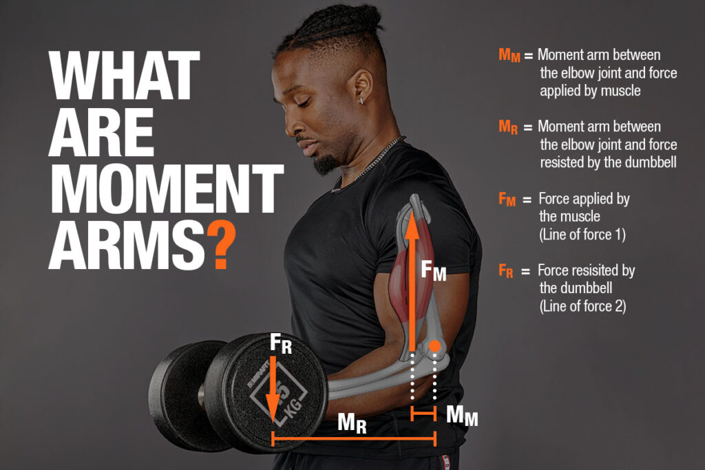 What Are Moment Arms? Mirafit