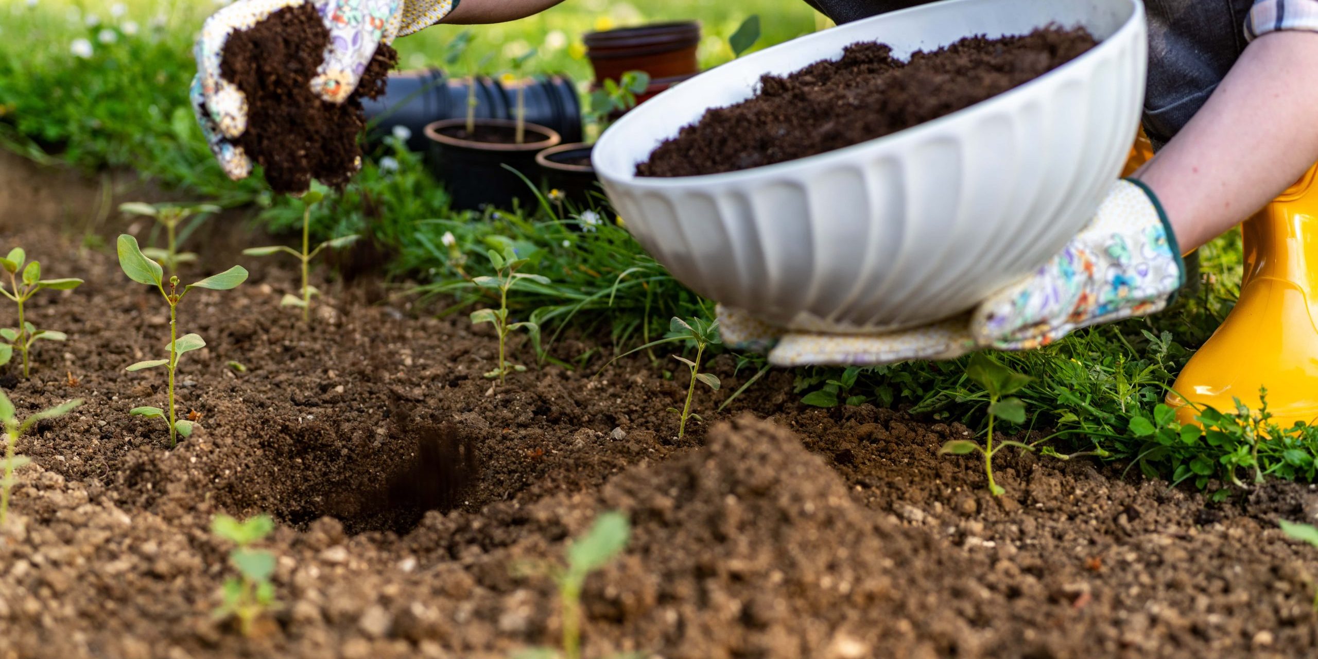 How to control soil erosion in your yard