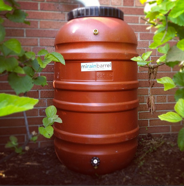 Rain Barrel, DIY Kit, Used Food Grade Barrel, Upcycled, 58 Gallon Size