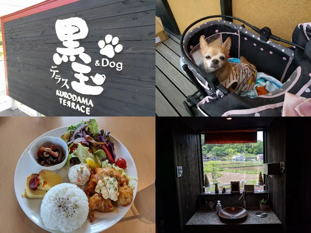 [最も選択された] 伊豆 ペット ランチ 133162伊豆 ペット ランチ