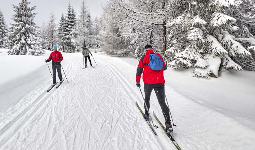 Winter in Bar Harbor a vacationer's guide for things to do.