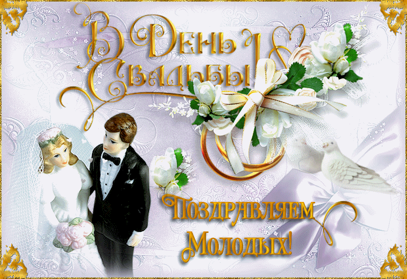 С Днем Свадьбы Молодых Картинки Telegraph