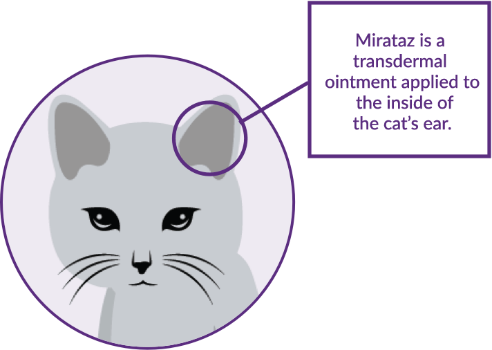 A little weight loss can be a big deal Mirataz