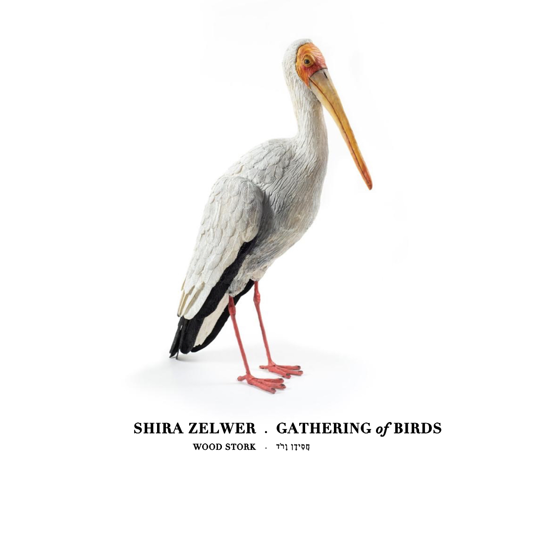 ALL BIRDSKeynote Posts.003 M⎮K Projects