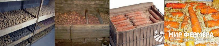 Погреб на даче своими руками (56 фото): материалы, этапы