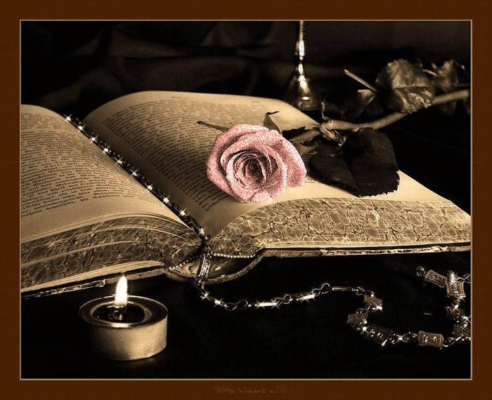 BIENVENUE DANS MON JARDIN SECRET