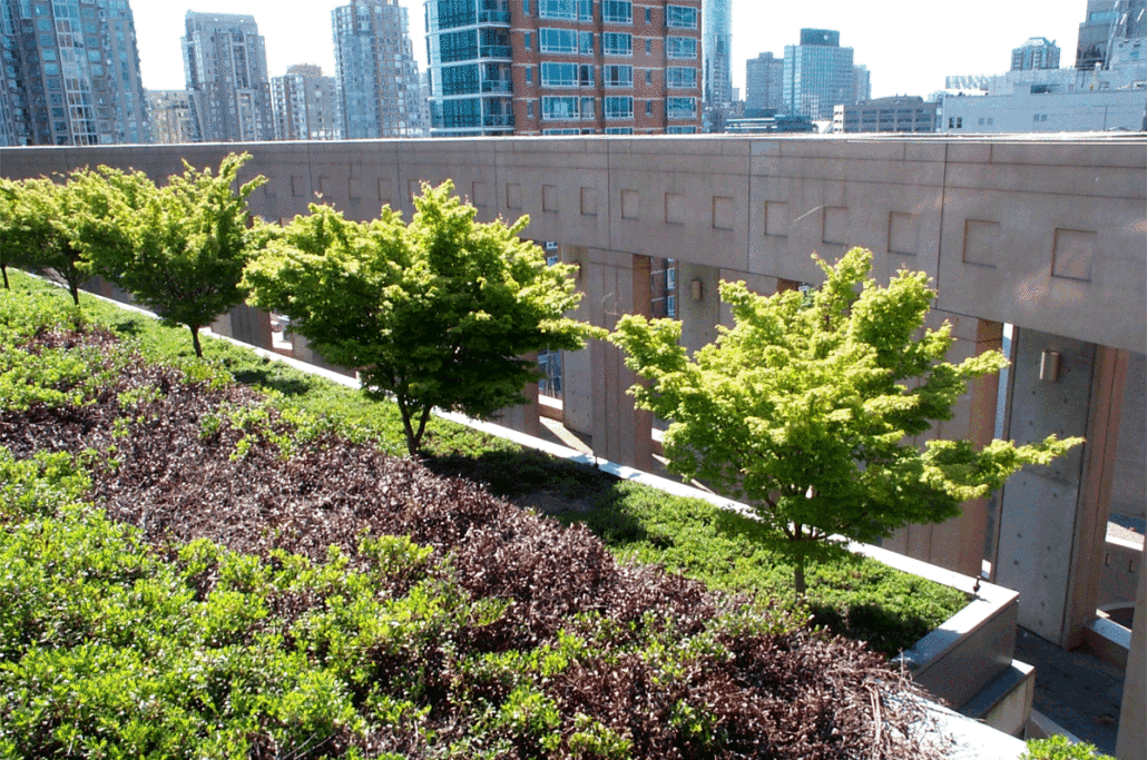 Urban Sustainability Is Growing • Mirimichi Green