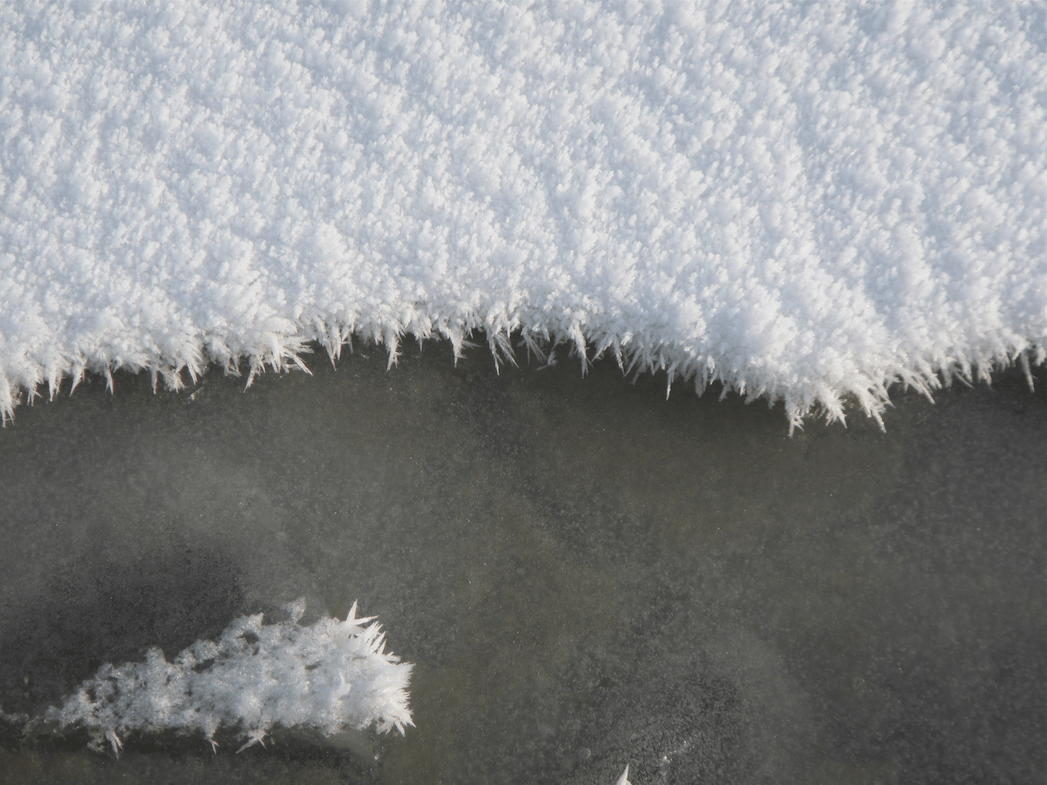 frost flowers Archives Adventures in Oceanography and Teaching