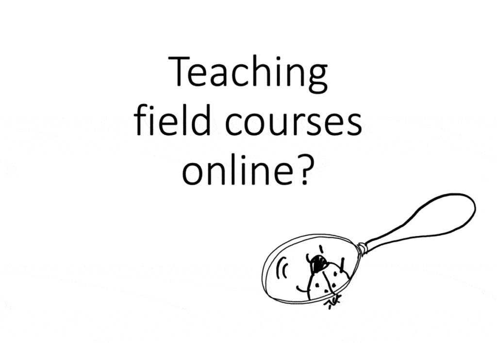Teaching field courses in a virtual setting Adventures in Oceanography and Teaching
