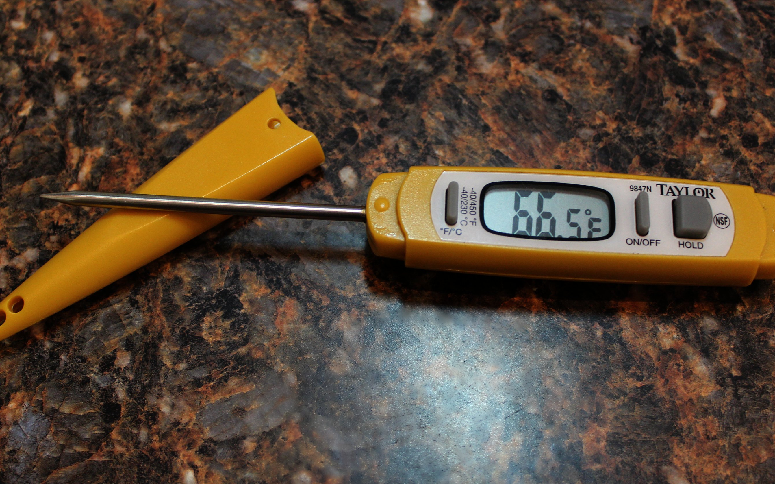 Taylor Digital Thermometer Review - Mirlandra's Kitchen