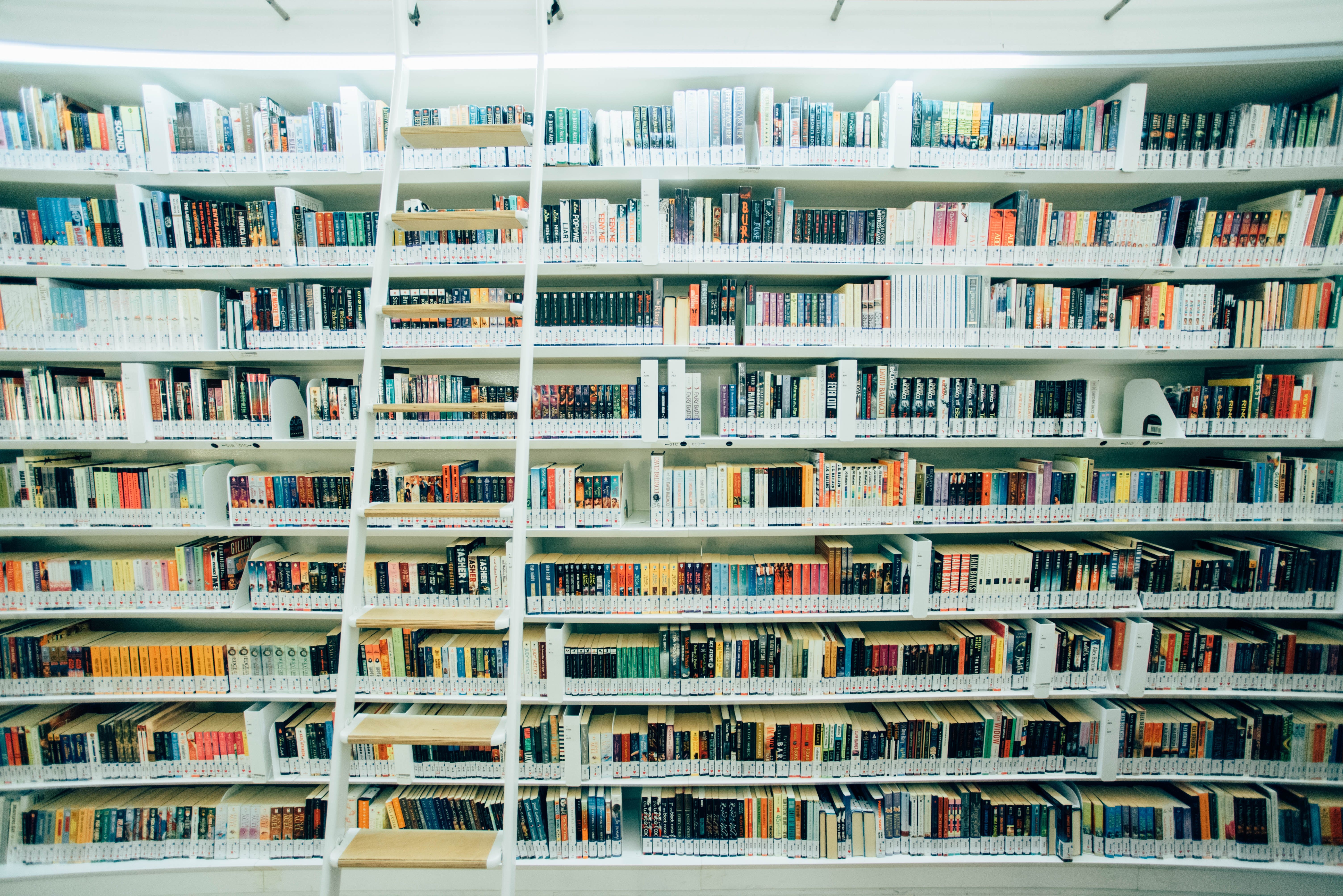 The dynamic library