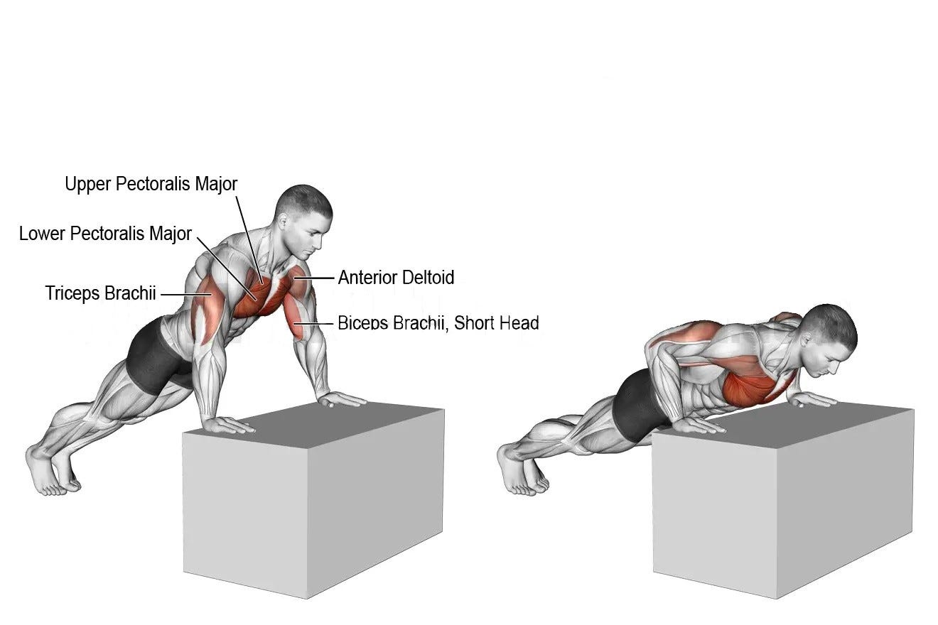 Incline Push Up Trening