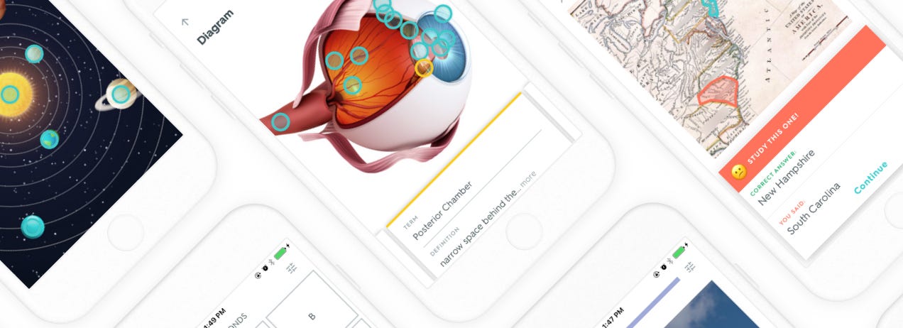 Exercise Physiology Definition Quizlet ExerciseWalls