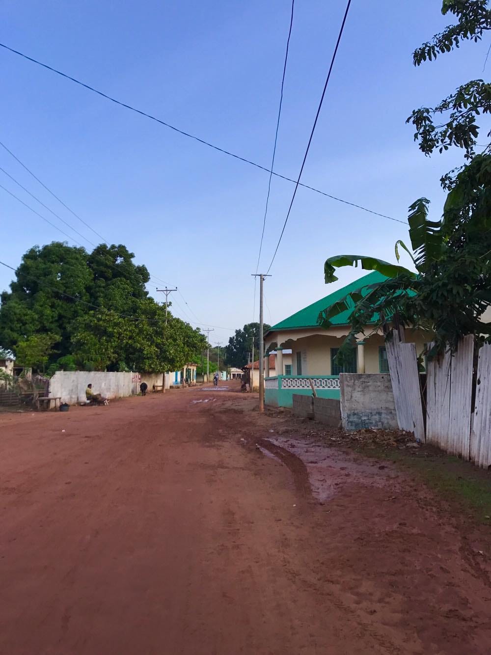 A Day in The Life. This week I was fortunate to be able to… by Leslie