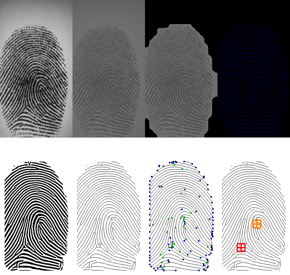 Fingerprint algorithm recognition by Manuel Cuevas Medium