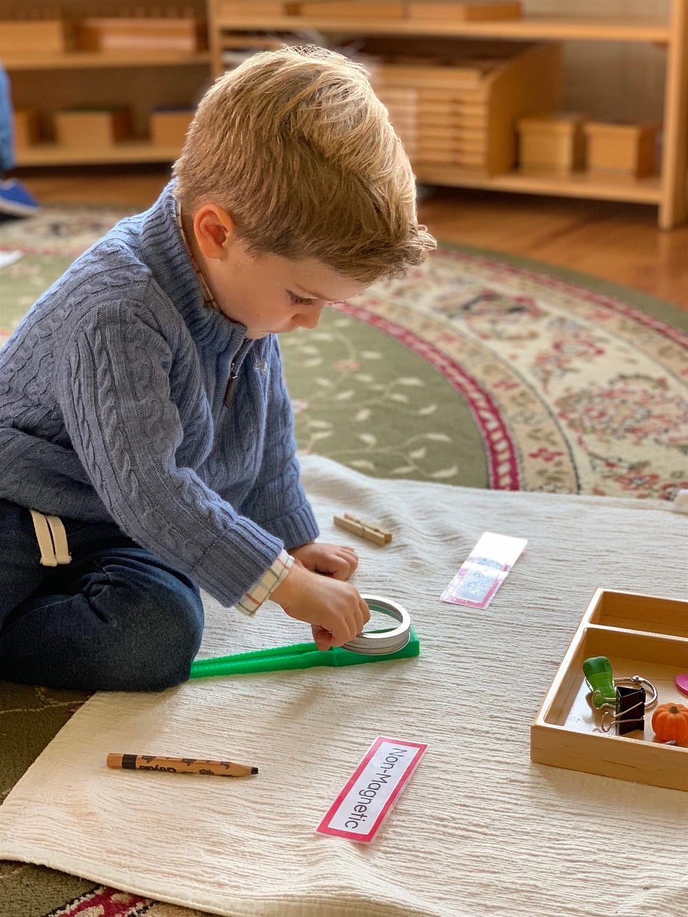 Assessment and Testing in Montessori Schools by Kingsley Montessori
