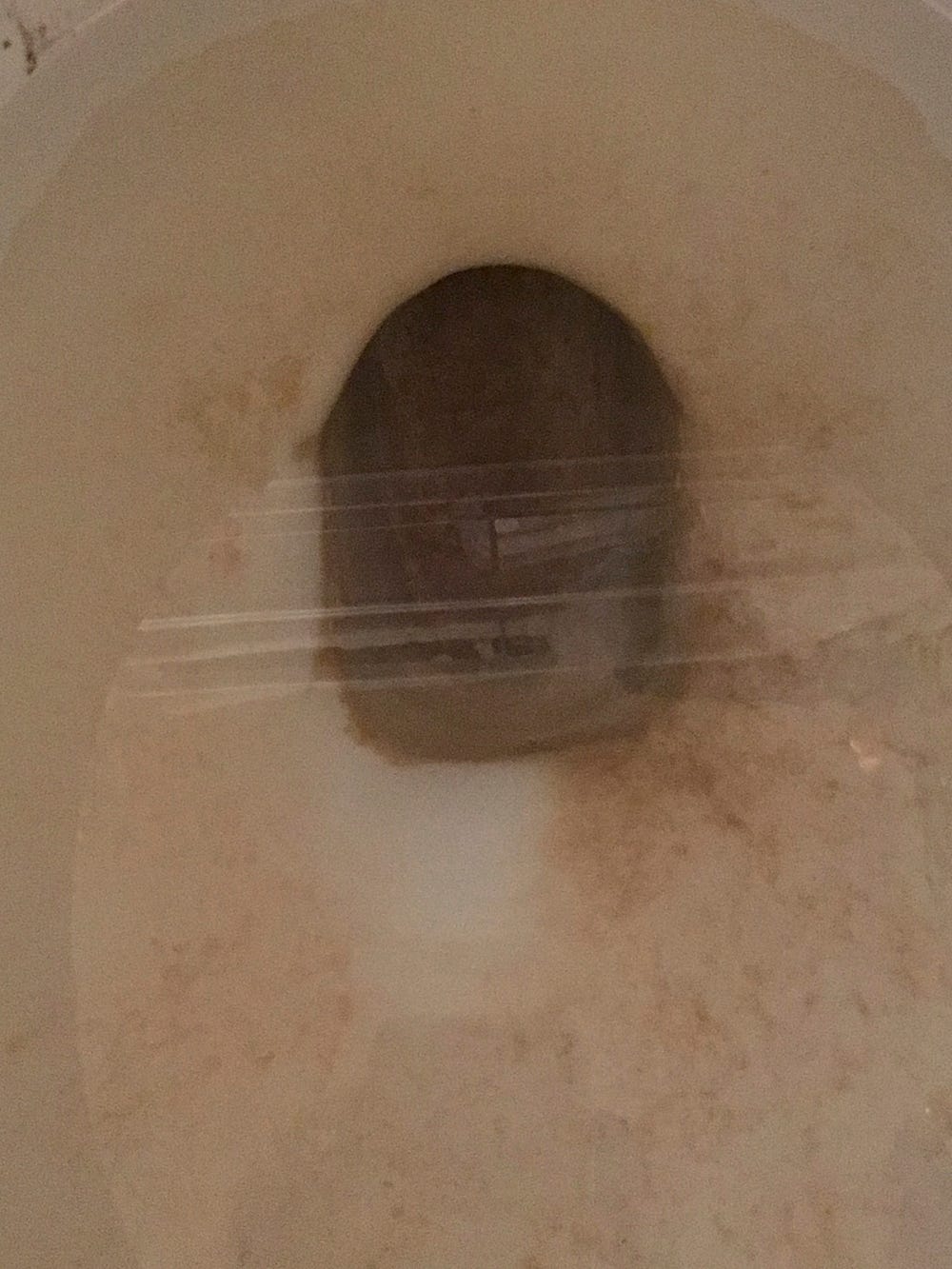 The stool that scrubbed a toilet tale of scientific curiosity by
