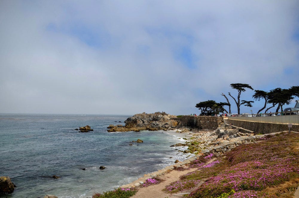 Best 10 Attractions Not to Miss in Monterey, California by What’s Up