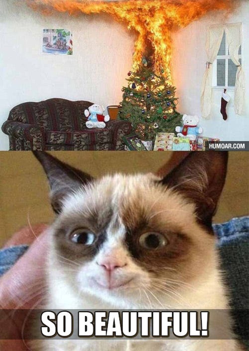 Tardar Sauce .. the Grumpy Cat. Tardar Sauce or “Grumpy Cat” as we all