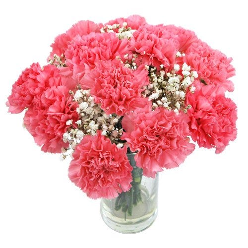 A Guide to Carnation Colours and Meanings for Birthday by Blooms Only