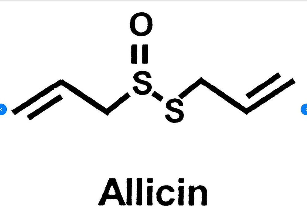 8 Proven Health Benefits of Garlic by rishin pradeep Medium