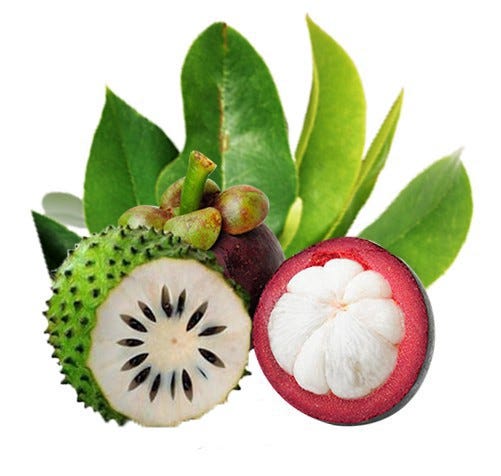 Manfaat Kulit Manggis Dan Daun Sirsak Detik Kesehatan