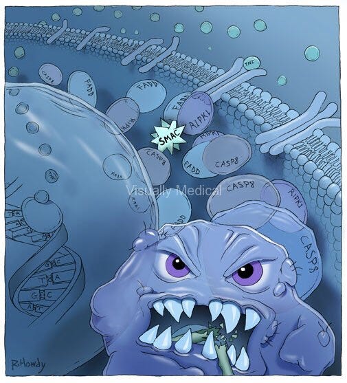 Fasting & Autophagy (Part 2) — How to Trigger & Maximize