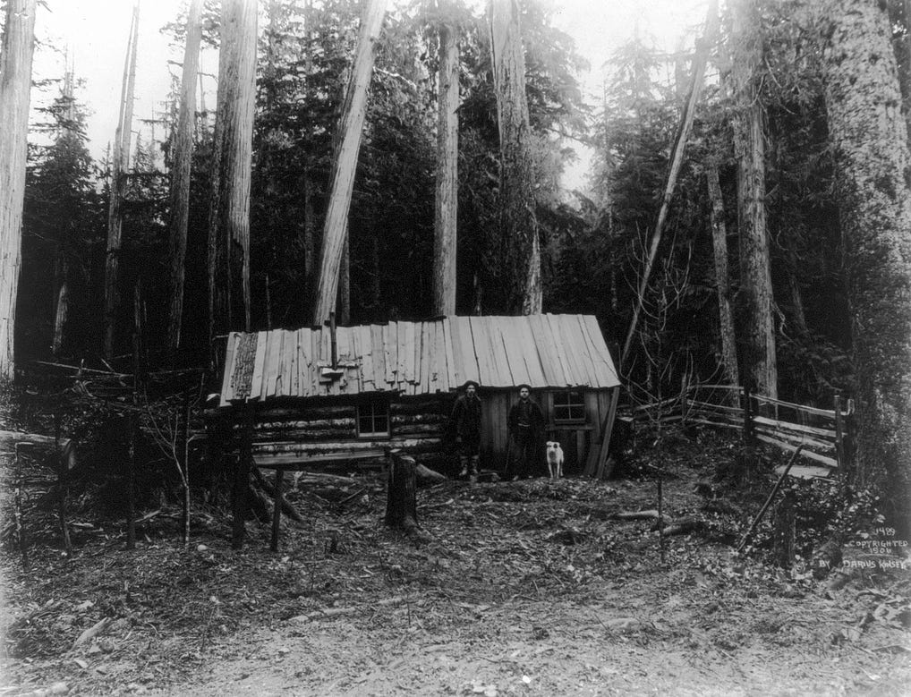 Early logging photos show the taming — and tarnishing — of Washington
