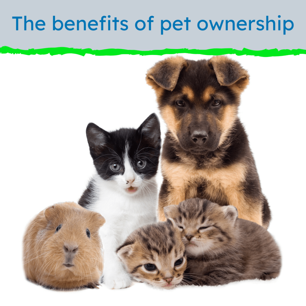 The benefits of pet ownership — MyPet by Conor McManus Medium