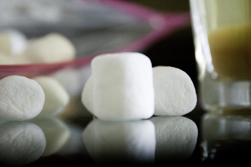 “What the ‘marshmallow test’ can teach you about your kids” Review by Whole Plant Personal