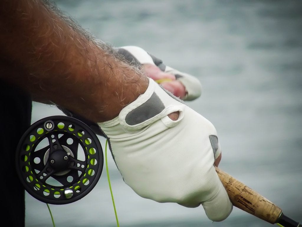 How to select the best fishing reel by harrypham Medium