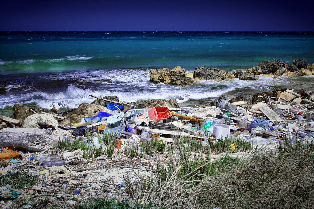 Can Nature Help Solve The Plastic Problem? by Cameron Brown