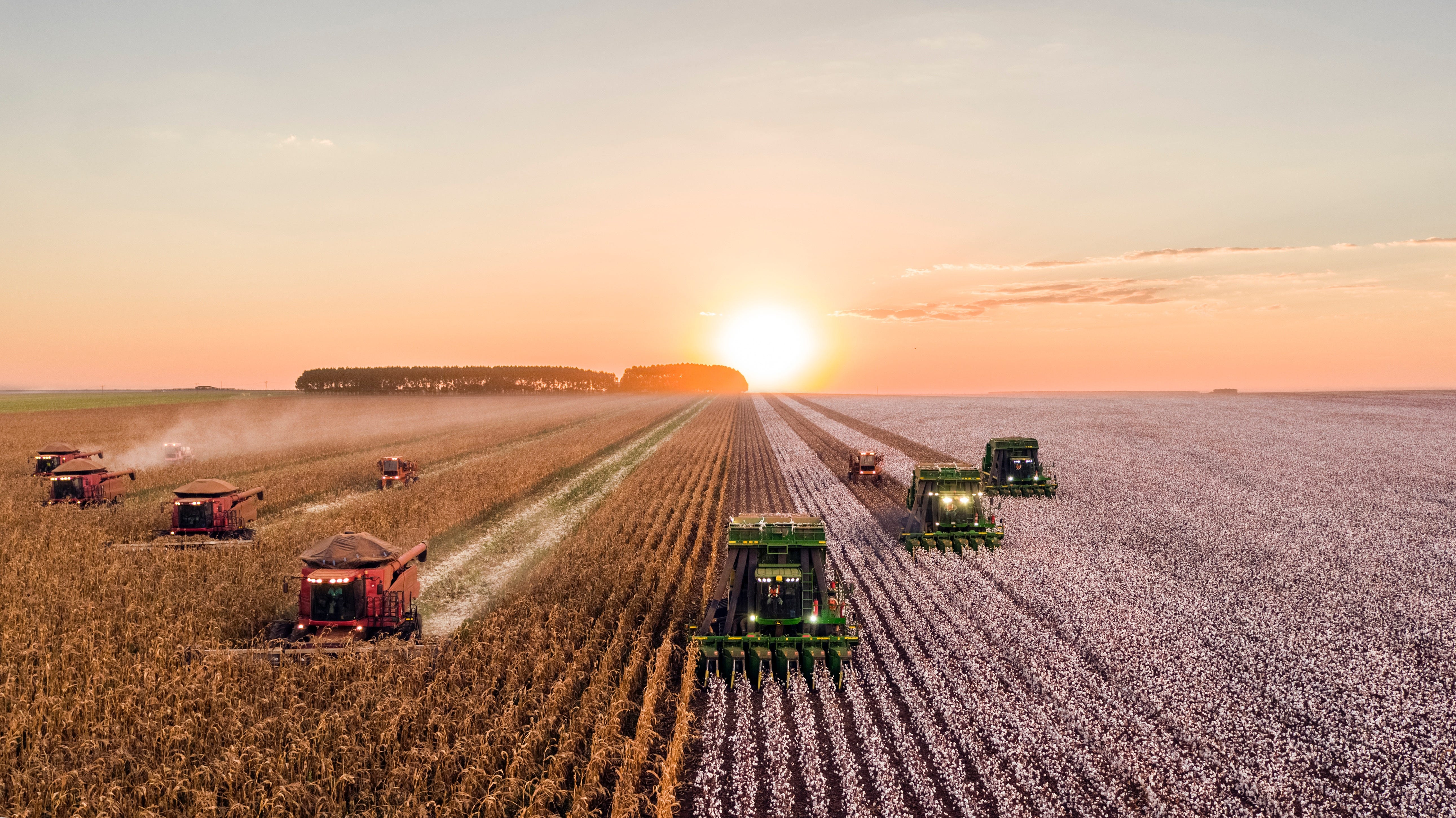 How Artificial Intelligence can Revolutionise Agriculture by Alex How Artificial Intelligence can Revolutionise Agriculture by Alex