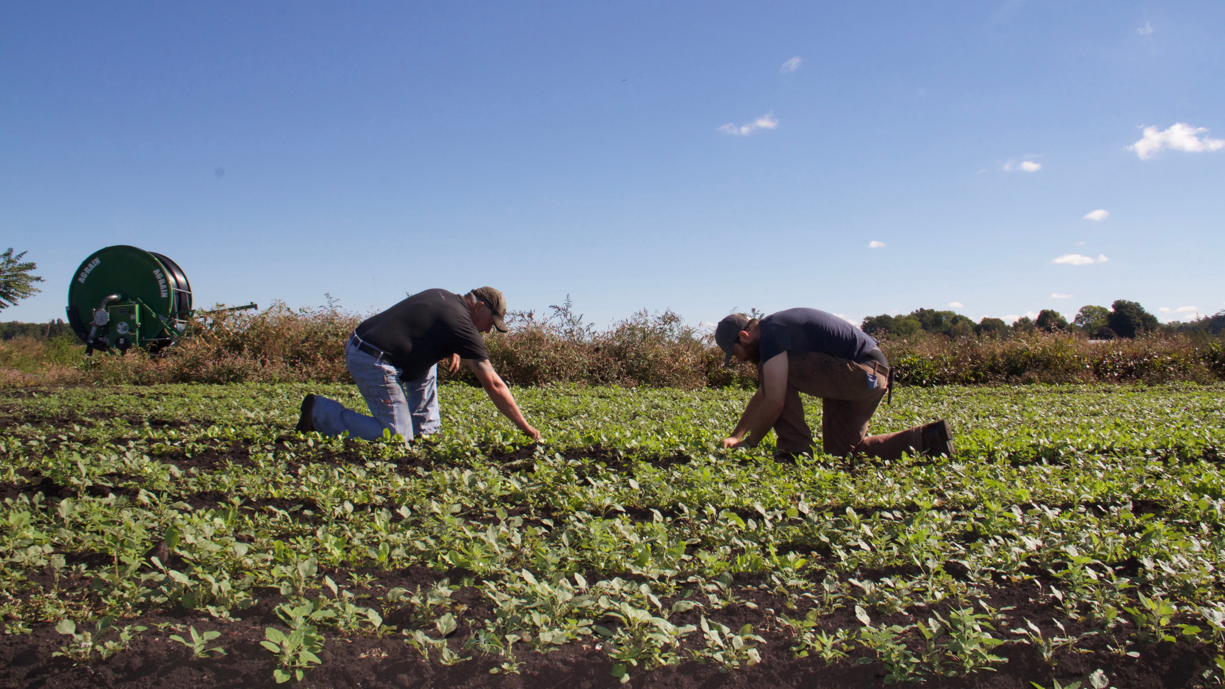 Starting a Farm Is Actually a Lot Like Starting Any Business by