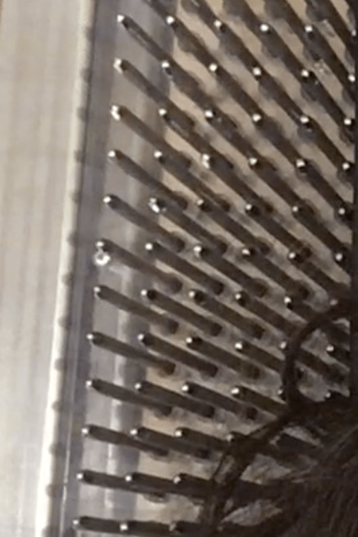 Lying on 1,000 nails. A bed of nails in Boston’s Museum of… by Wendy