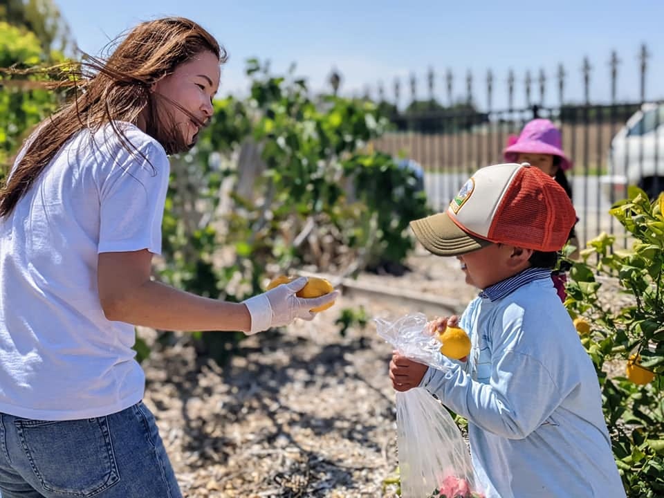 Produce Delivery Bay Area Airmart