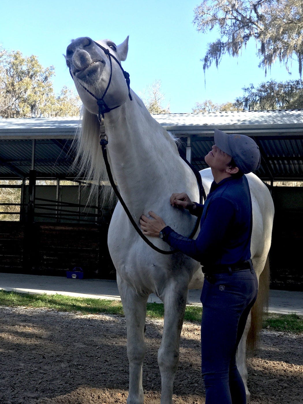 Do What Horses Like. Do you know what your horse likes? by Linda