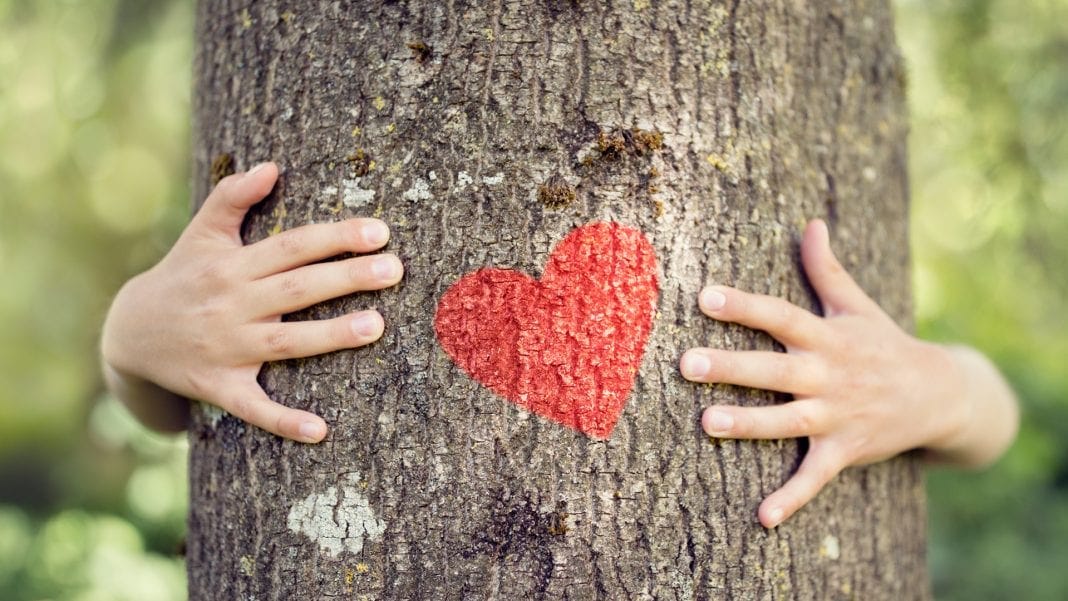 How Trees Reduce Air Pollution. The biggest problem of human being is