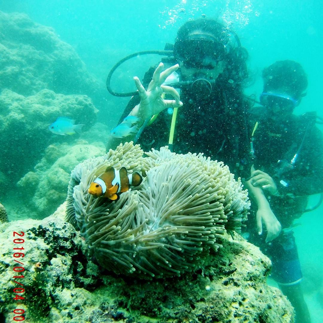 Scuba diving experience in andaman World Traveler’s Blog