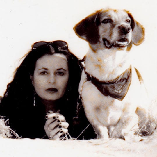 What Do You Fill Dog Holes With