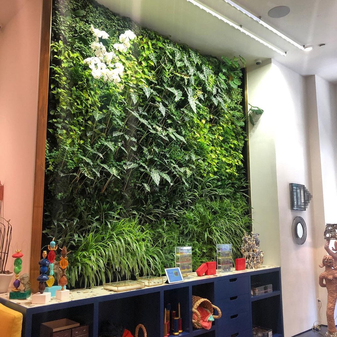 Tips on How to Create a Living Wall by Gennaro BrooksChurch Medium