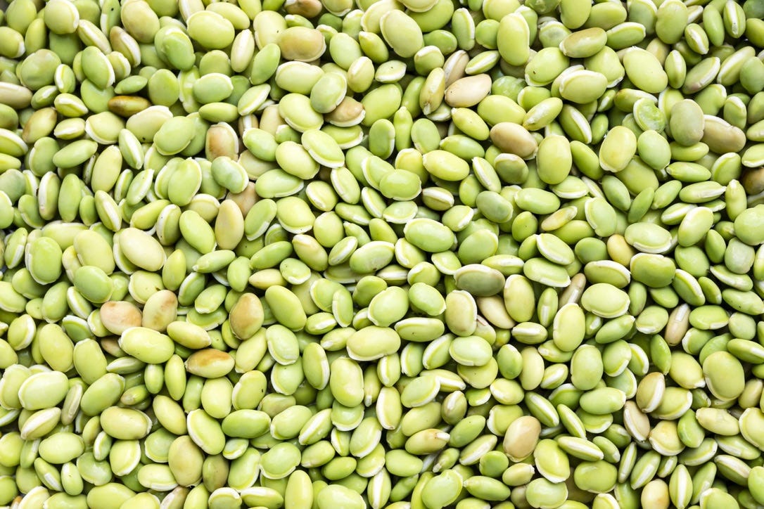 Lima Bean Love. Celebrating Lima Bean Respect Day… by Harper Thorpe