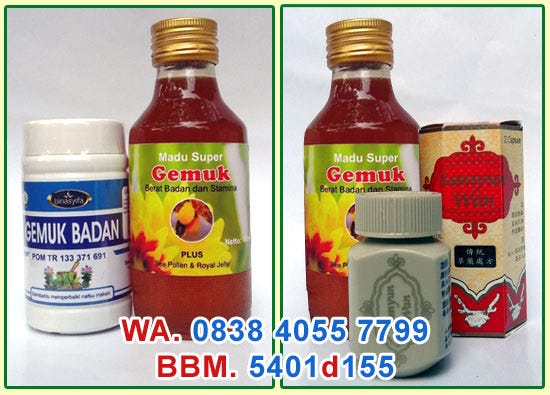 Obat Gemuk Badan Dengan Cepat Cara Menggemukan Badan by merdeka saja