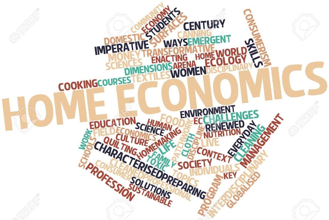 The Importance of Teaching Home Economics in High School’s. by Mikala