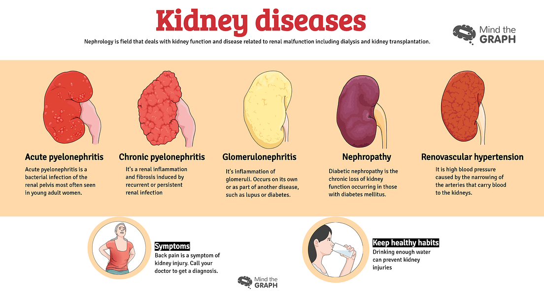Urinary system diseases Infographics to understand by Mind the Graph
