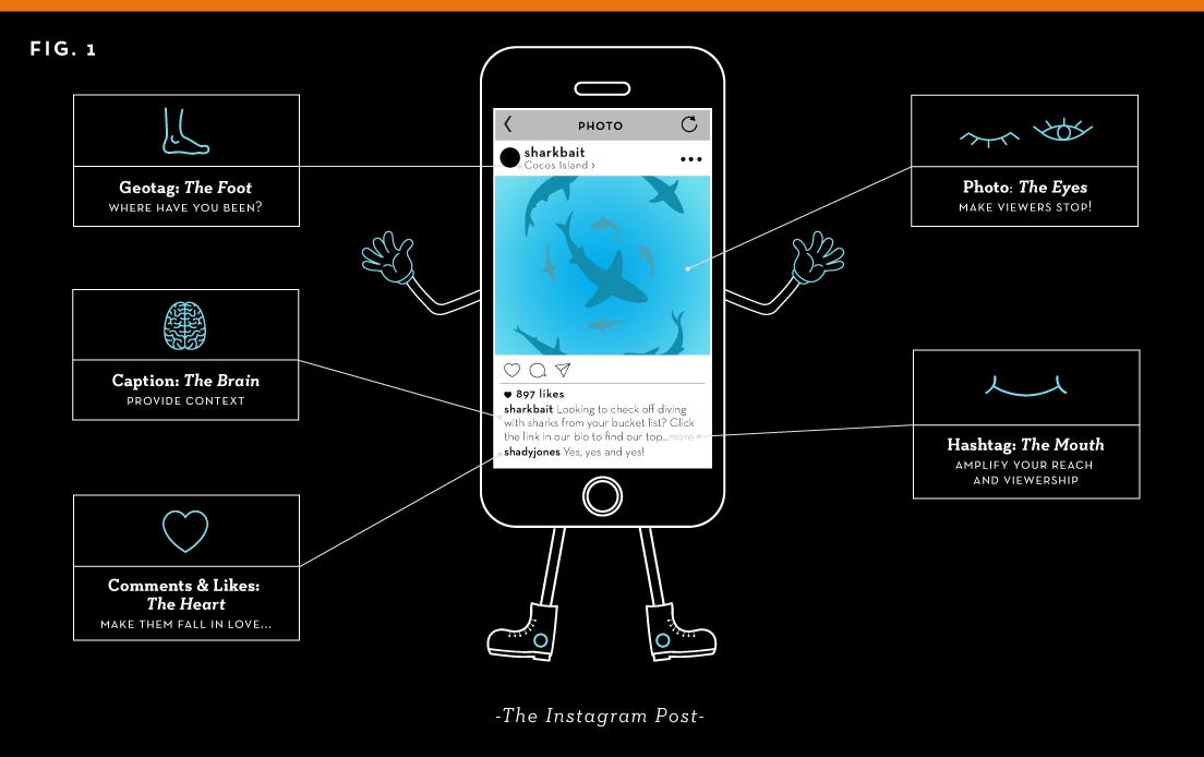 The Anatomy of an Instagram Post. Have you ever wondered how the… by The Anatomy of an Instagram Post. Have you ever wondered how the… by