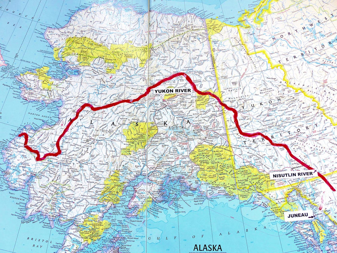 The Longest Migration — Yukon River King Salmon by The Salmon Project