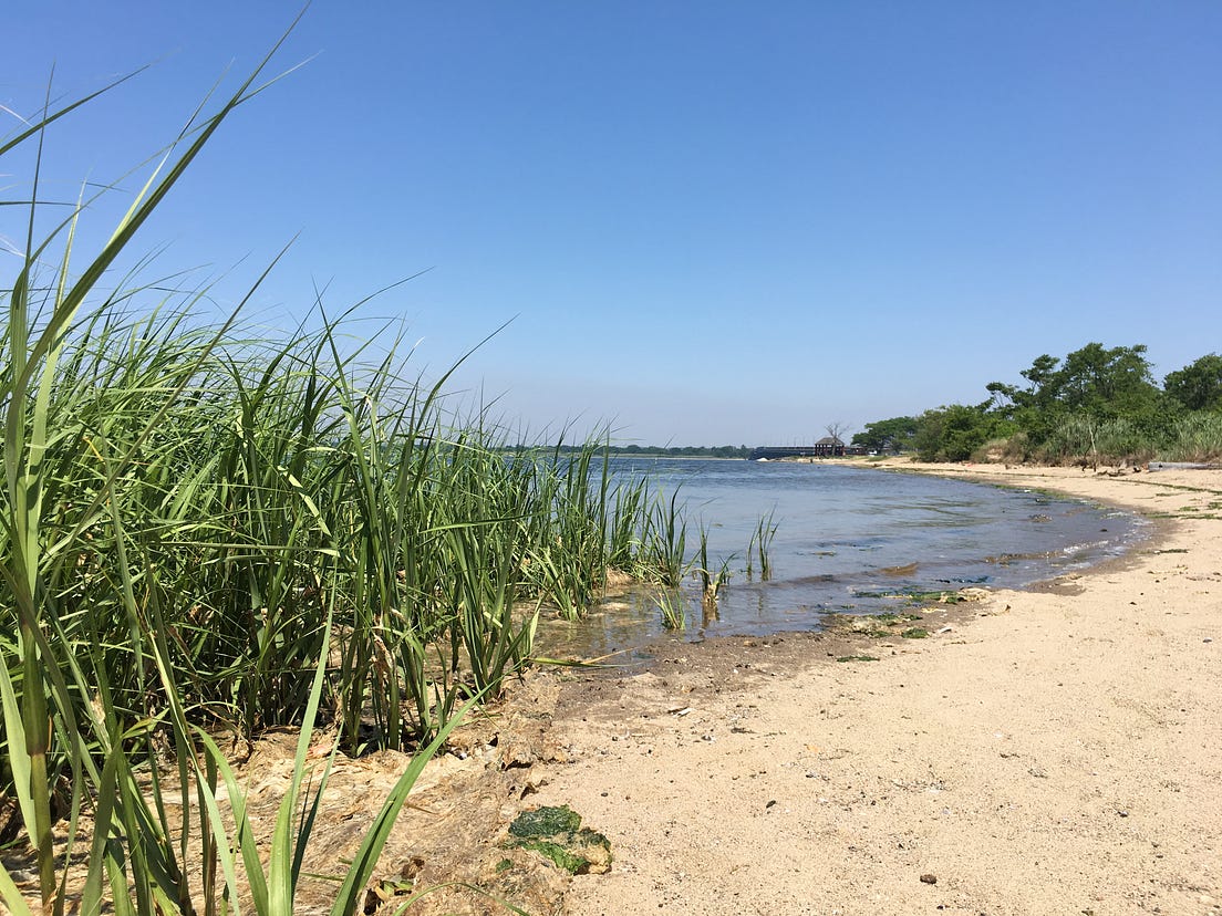 The Plan for Jamaica Bay. We recently joined with Brooklyn and… by