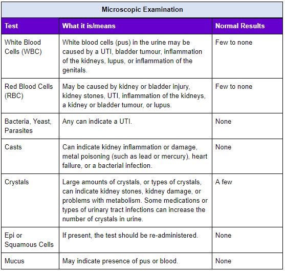 What do urine tests tell us?. This article by Dot Health Medium
