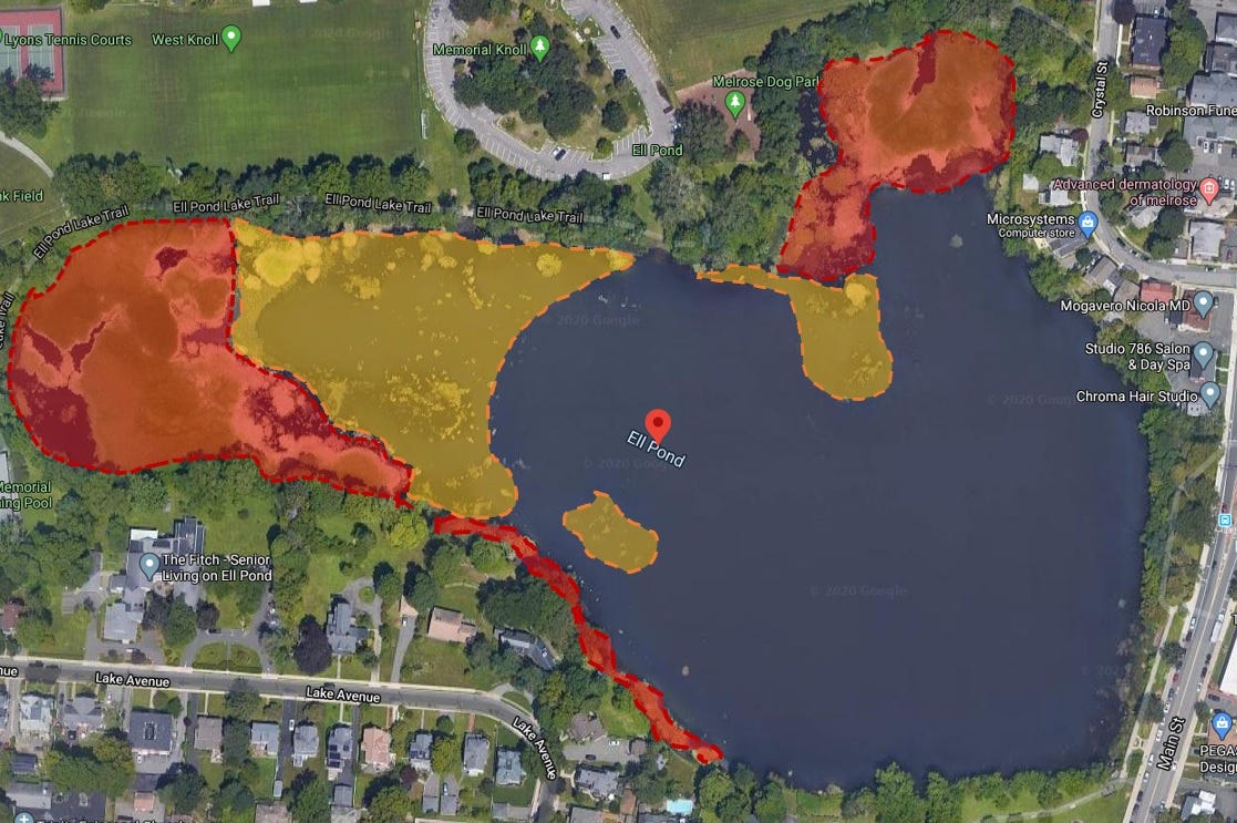 Melrose Needs to Declare War on its Ell Pond Water Chestnut Problem